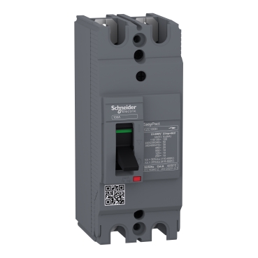 [EZC100H2100] DISJONCTEUR EZC100 H 30KA 2P 2T 100A
